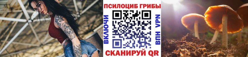 гидра ссылки Билибино Псилоцибиновые грибы MAGIC MUSHROOMS
